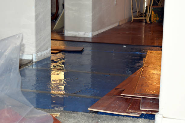 Professional Burst Pipe Cleanup technician working in North Sutton, NH